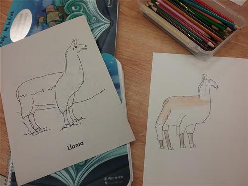 Llama Sketch 