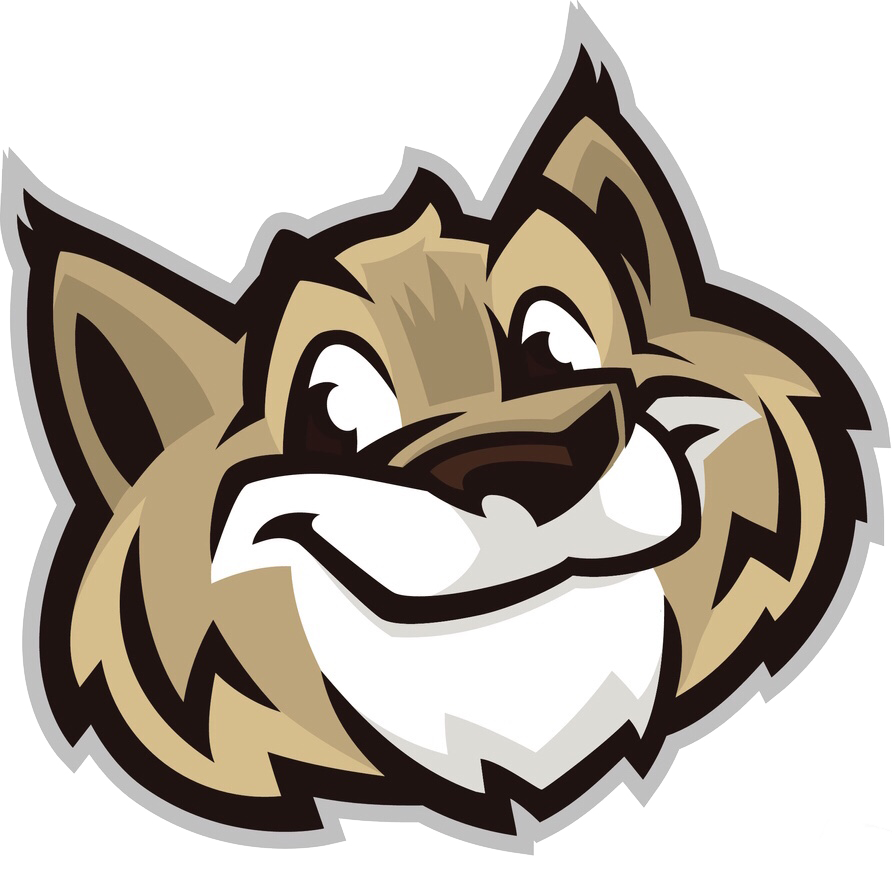 wildcat face