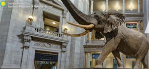 smithsonian 