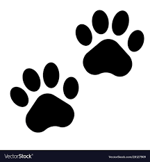 paws