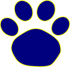 wildcats 